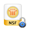 Remove NSF File Protection
