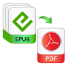 Convert Multiple EPUB to PDF